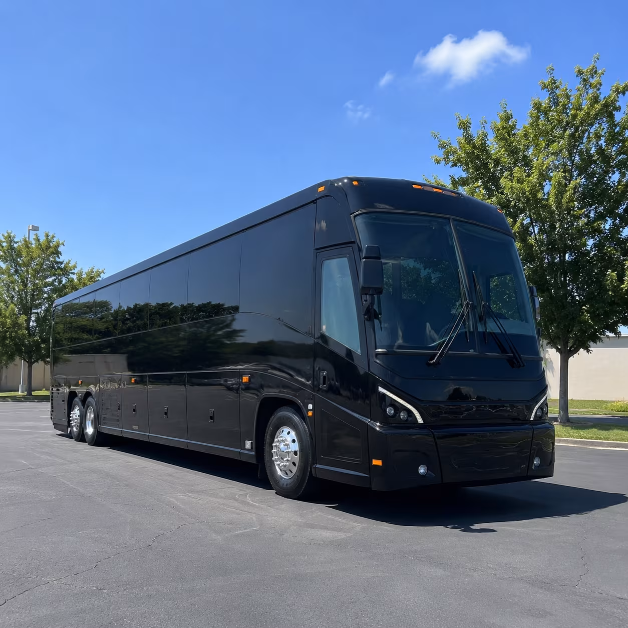 tempe 56 passenger charter bus