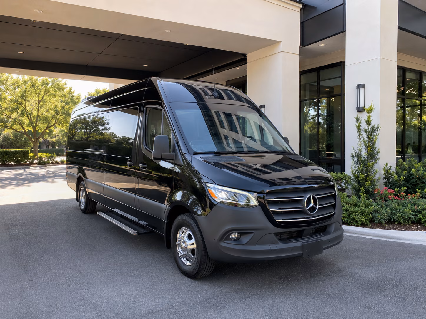 tempe birthday party transportation onboard seating